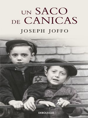cover image of Un saco de canicas
